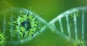 Šta je potrebno znati o korona virusu?